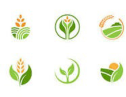 AGRIBUSINESS SPECIALIST KIPTOO